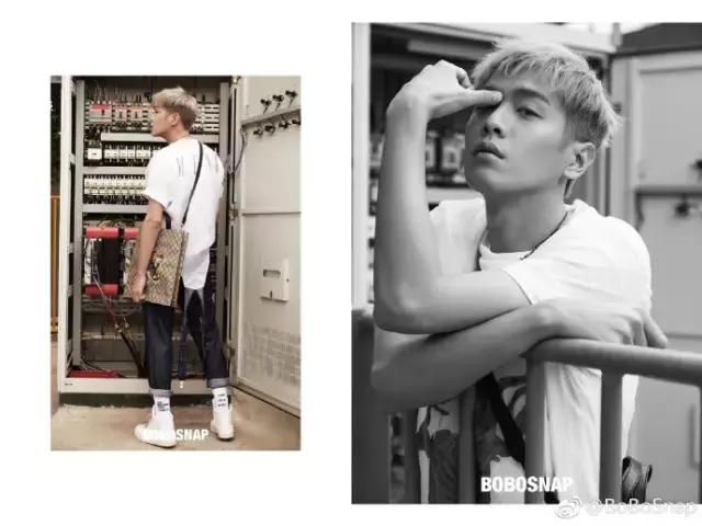 分享一下精美的狗粮,推荐一个平价又好的狗粮吧