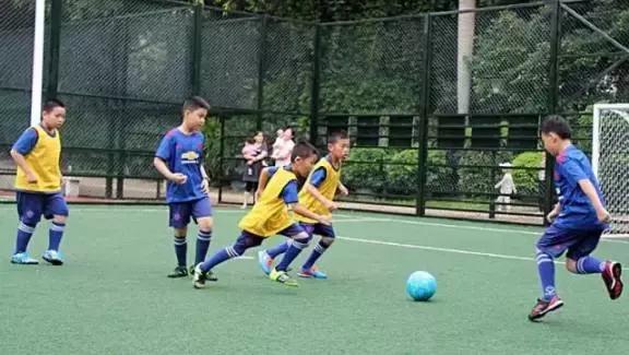 成都足球赛程表,成都蓉城足球未来发展