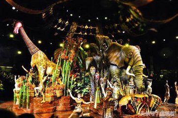 去香港旅游应该去哪玩,去香港旅游攻略最新消息