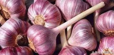 山西榆次必带的特产有什么,榆次有什么特产美食