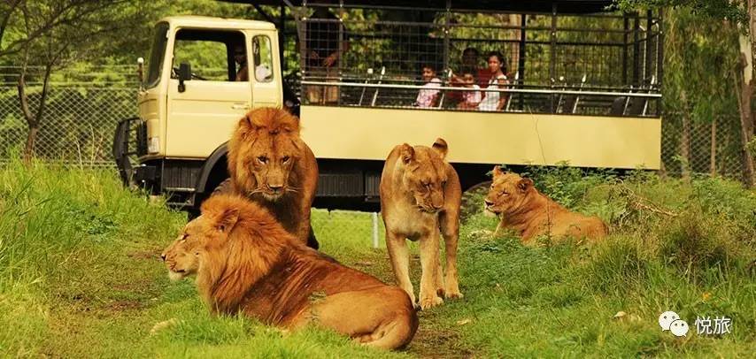 毛里求斯出境旅游攻略,刚去毛里求斯的人可以免签30天吗