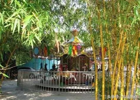 汕头十大公园,汕头最美园景