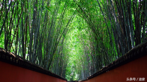 成都旅游打卡的必选之地,成都必去打卡地旅游攻略