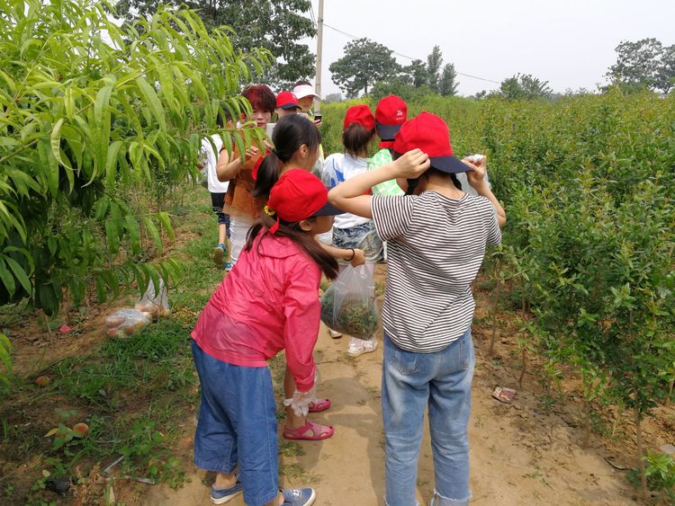 暑假桃源一日游,荥阳高村沐恩生态园