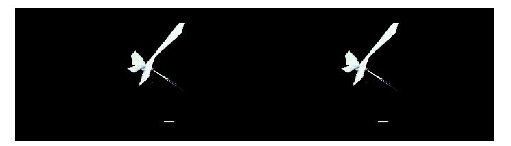 pptgif动图不循环播放,如何在ppt中播放gif图片