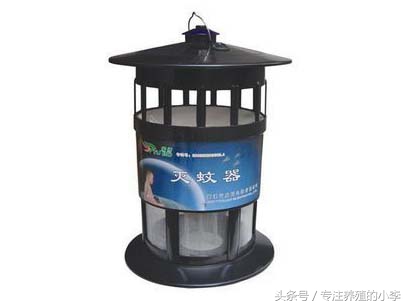 鸡被蚊子咬了怎样治疗,鸡眼睛被蚊子咬了怎么办