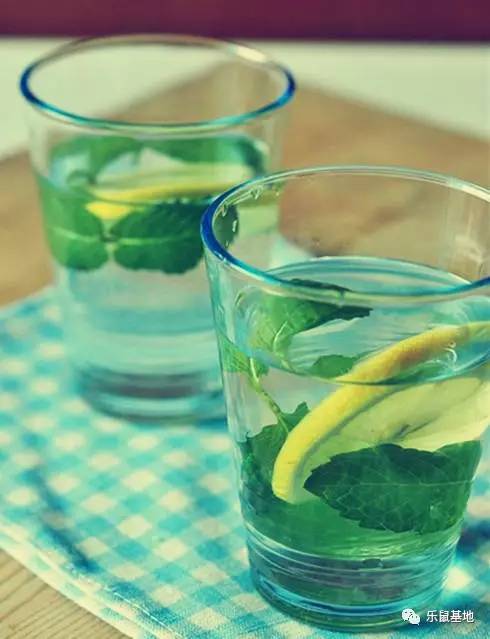 “薄荷香中醉欲颠”，有了薄荷的陪伴让，你清清爽爽度夏天