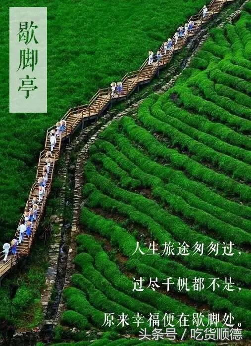 明星的奶茶推荐,tvb明星打卡的茶餐厅