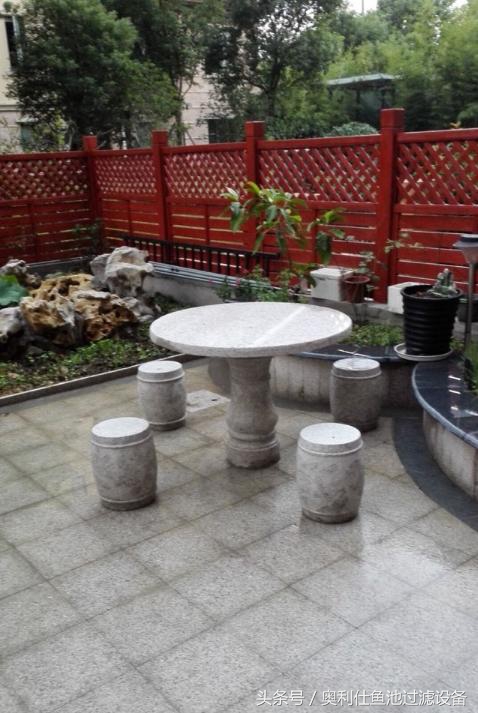 简单实用小庭院鱼池,庭院鱼池改造设计图片