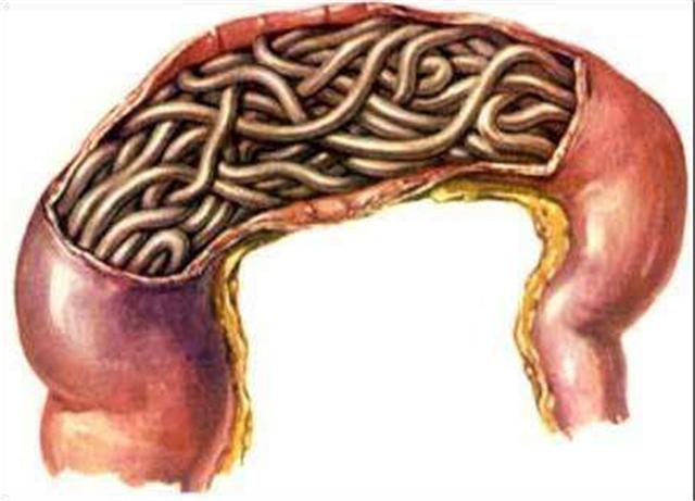 宝宝体重不增重怎么办,宝宝体重不长的原因有哪些