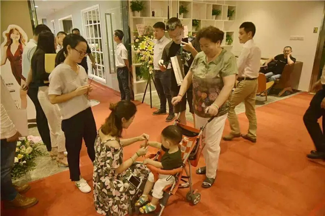 生活家装饰去年财报,生活家618新品