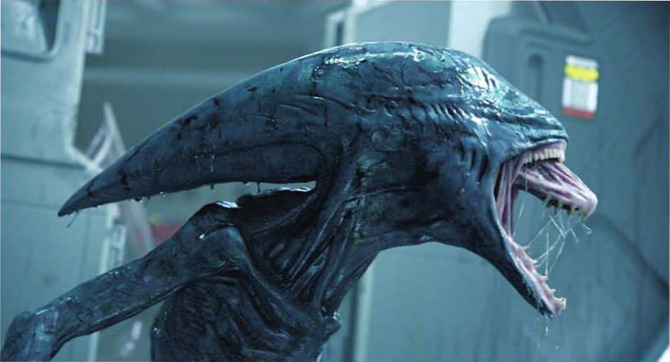 异形契约102个解读,异形契约结局让人细思极恐