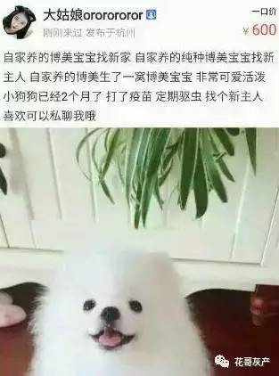 灰产如何规避打击,灰产处置