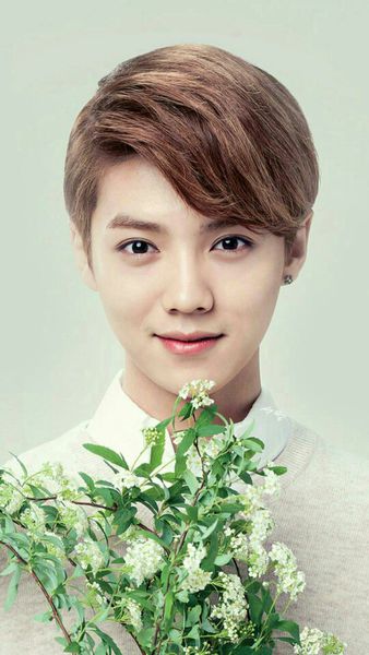 鹿晗勋章歌词壁纸图片,鹿晗照片锁屏壁纸卸妆