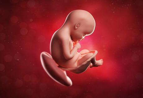 胎盘老化对胎儿有什么影响,胎盘老化对胎儿的影响