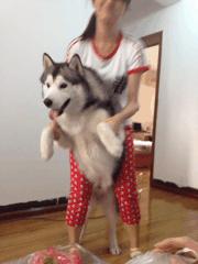 看着都疼爆笑名场面,看着都疼的搞笑名场面