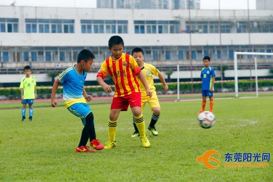 足球胜负怎么理解,如何做到足球胜负分析精准