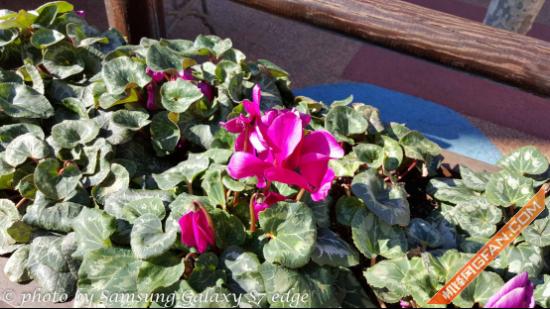 巴塞罗那攻略买东西,巴塞罗那旅游购物攻略