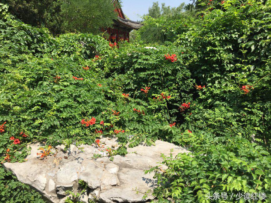 红楼梦大观园美在哪里,真正的红楼梦大观园在哪里