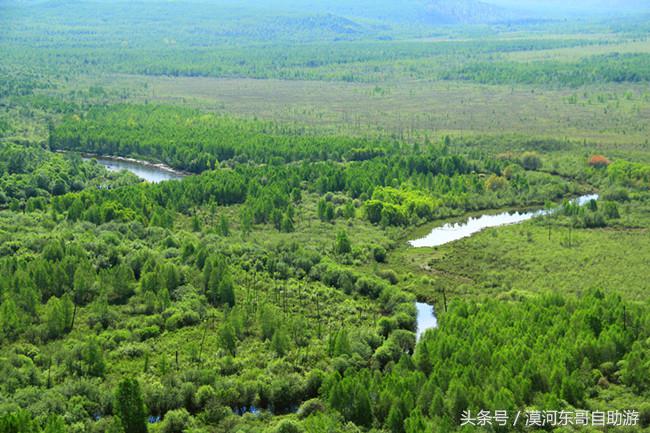 漠河包车旅游攻略,漠河晓黄自助旅游包车服务