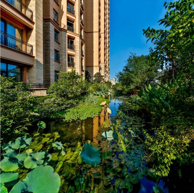 成都雅居乐花园入川十年|造就天府新区舒居典范