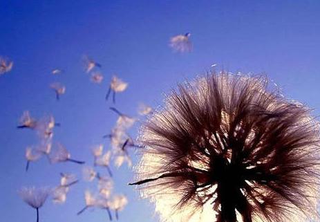 让自己快速强大的捷径,让自己强大最简单的方法