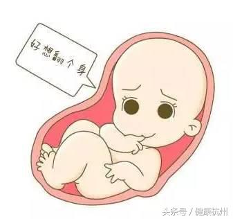 臀位宝宝乾坤大挪移,胎儿臀位乾坤大挪移