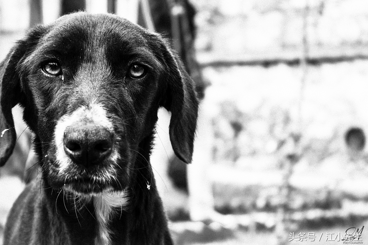 在济南你的收入多少,在济南的你负债多少