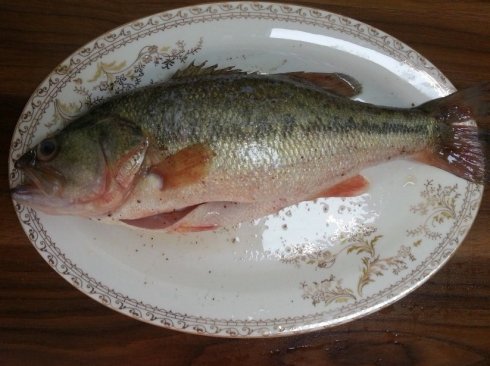 宝宝吃清蒸鲈鱼正确做法,宝宝清蒸鲈鱼2岁