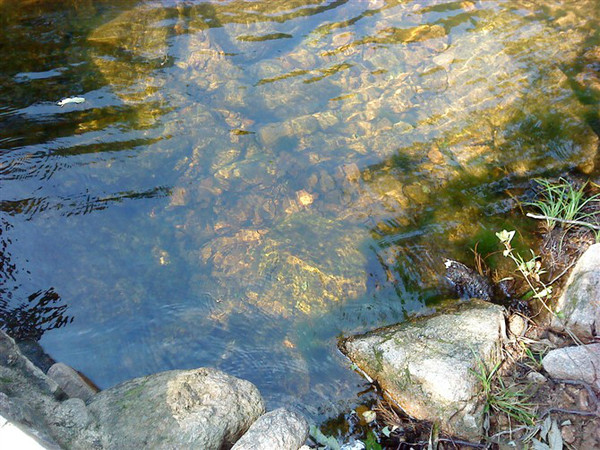鲁山画眉谷附近哪里有好玩的地方,鲁山画眉谷景区免费的景点