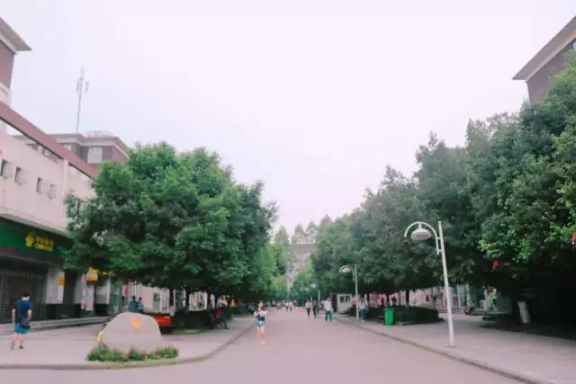 西源大道1号四川大学锦城学院,川大锦城学院西源