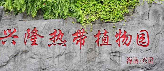 万宁兴隆居住,万宁兴隆适合居住吗