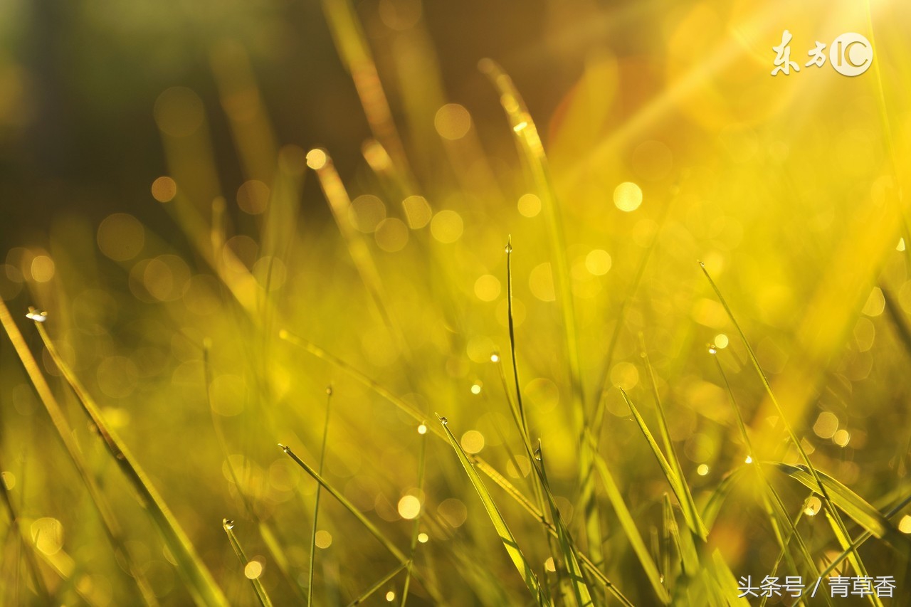 秘传八字批命口诀,八字命理不传秘诀