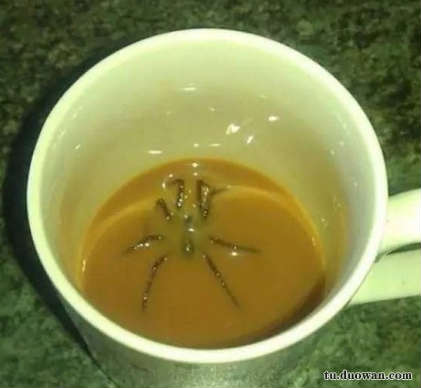 《每日一乐》2017港姐首轮面试开始颜值参差不齐颜值让人心情复杂