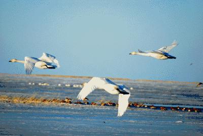 自媒体创业机会,自媒体创业是机会还是陷阱
