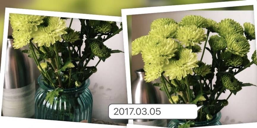 唯独钱才是最好的安全感,没有什么比钱更有安全感