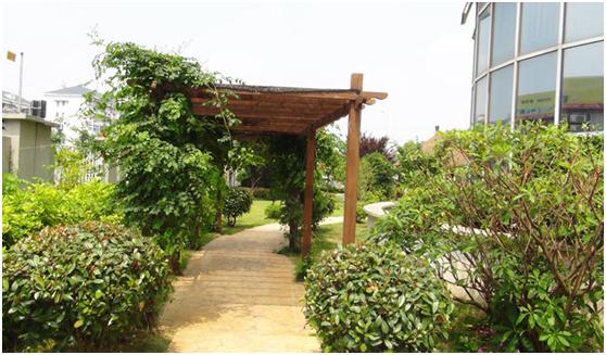 母亲髌骨粉粹性骨折，姐弟三人却只能送母亲来医养护理中心