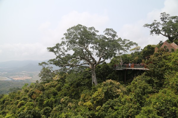 在三亚总有一片海属于一个人,在三亚椰梦长廊海边