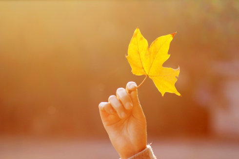 母亲髌骨粉粹性骨折，姐弟三人却只能送母亲来医养护理中心