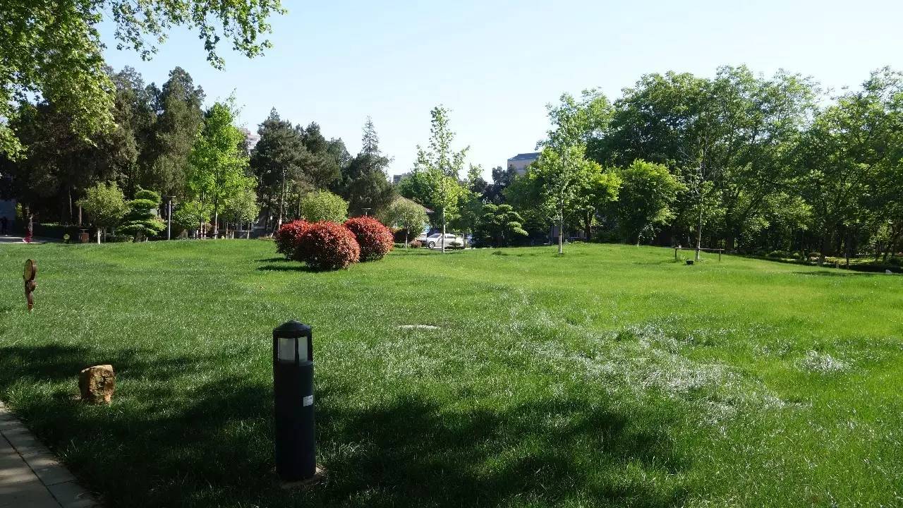 石家庄和平公园需要门票吗,石家庄和平公园几个门