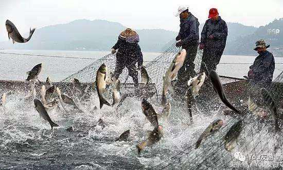 安徽最美旅行,安徽旅游景点万佛湖