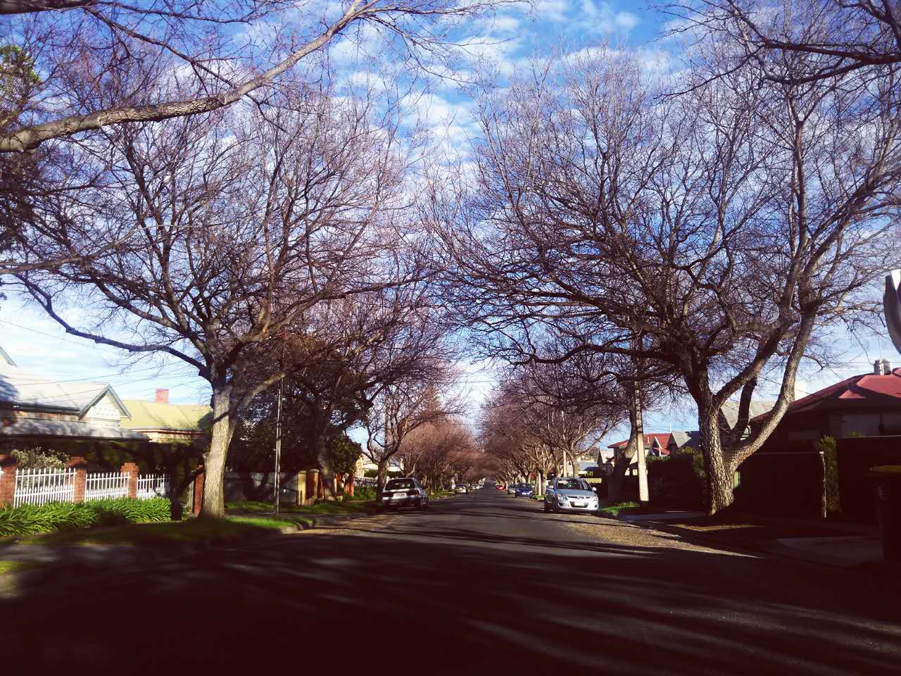 流浪在悉尼,流浪在澳洲的真实生活