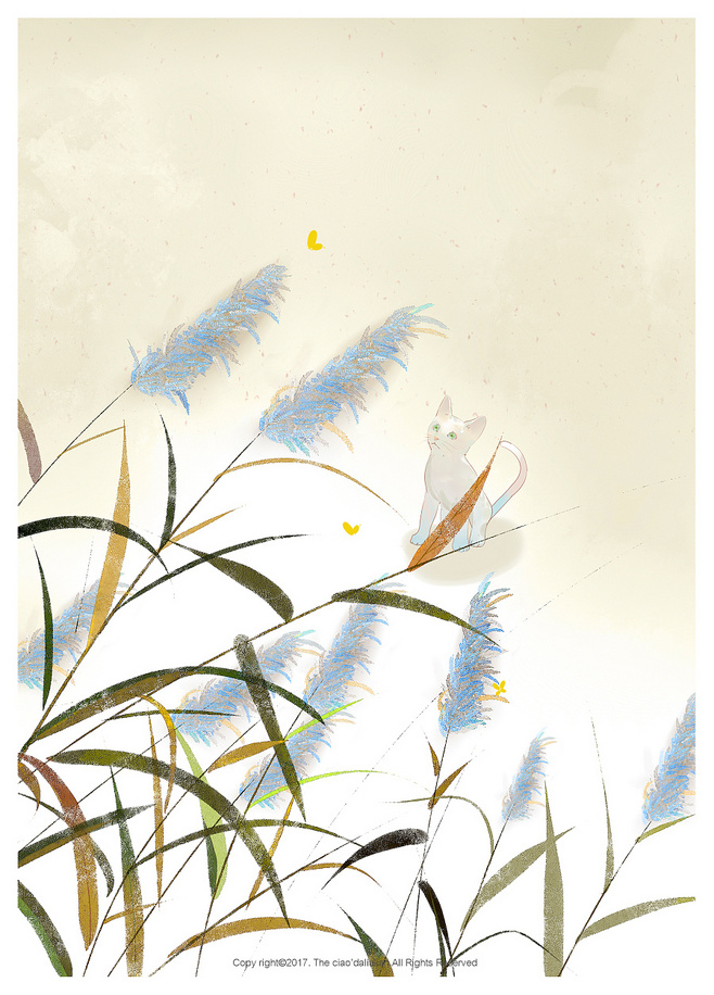 算命先生说我命硬克老公,神婆说我八字硬