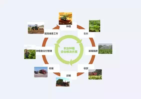 看清这三大趋势,农资市场大有可为!