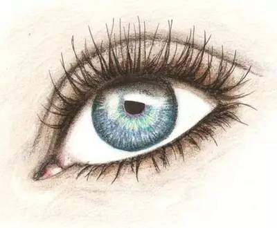 你觉得哪种眼霜最好用？