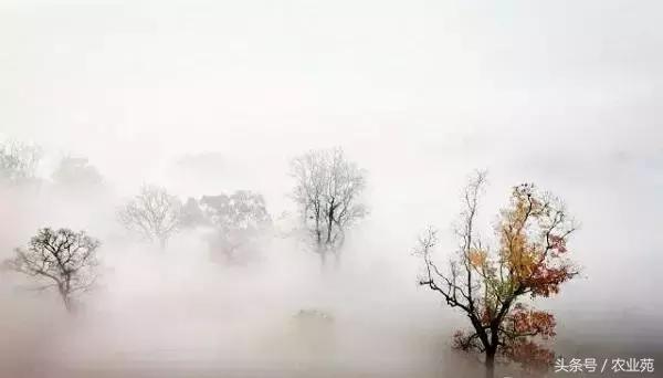 怎么根据云彩来判断天气,云彩识别天气图解