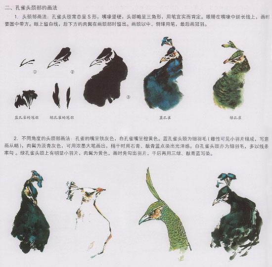 孔雀开屏的图片国画孔雀的画法,国画孔雀的画法图片