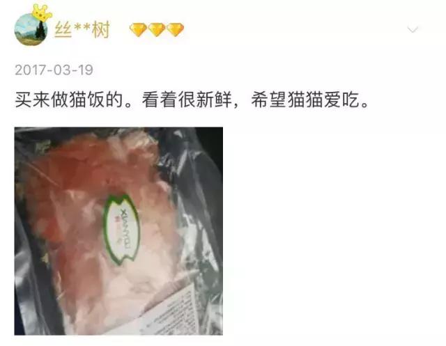 从让人捧腹的铝盆和鸡窝大抢购,看猫咪用品创业商机