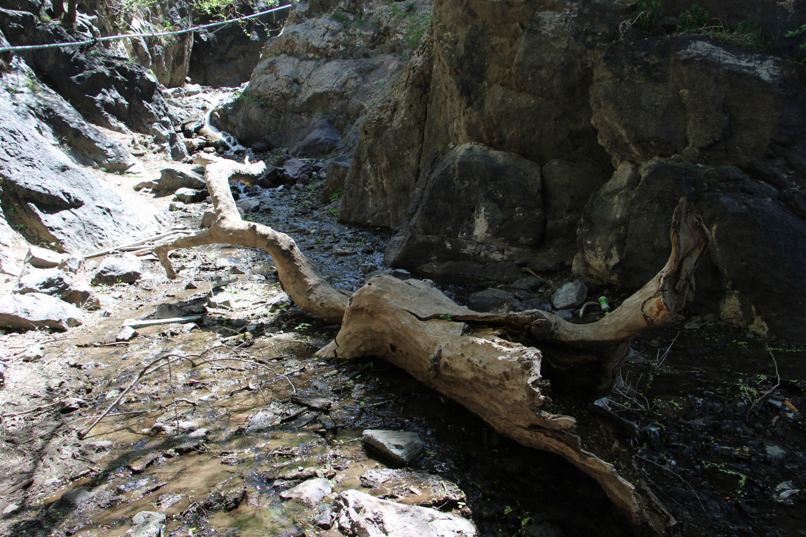 乌鲁木齐石人沟民俗,乌鲁木齐风情