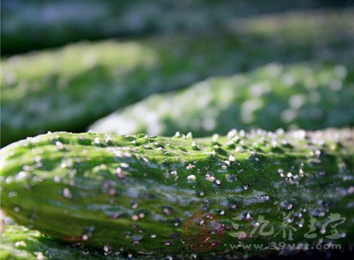 毛孔粗大缩毛孔最有效的方法,鼻头毛孔粗大解决方法缩毛孔